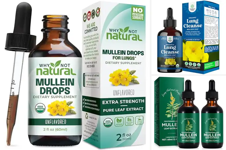 Detailed view of Best Third Party Tested Mullein Tincture Drops