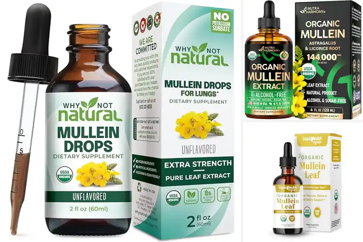Detailed view of Best USDA Organic Mullein Leaf Tincture Drops
