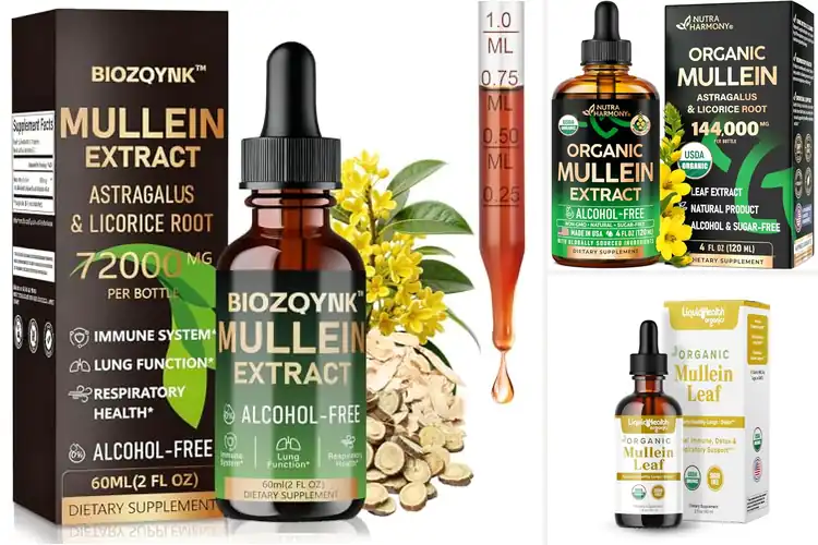 Detailed view of Best Vegan Mullein Leaf Lung Detox Drops